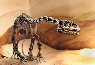 Descoberto no Brasil o mais antigo precursor dos dinossauros da