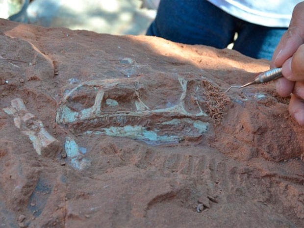 Pesquisadores descobrem três fósseis de dinossauros no RS (Foto: Divulgação/Unipampa)