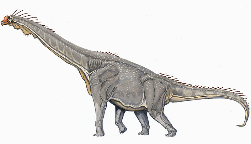 Arquivo: Brachiosaurus DB.jpg