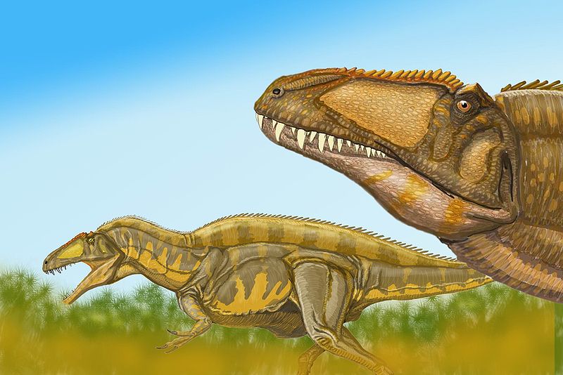 File:Acrocantosaurus4.jpg