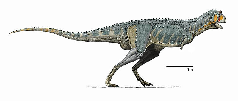 File:Carnotaurus DB 2.jpg