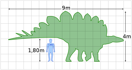 File:Stegosaurus size.svg
